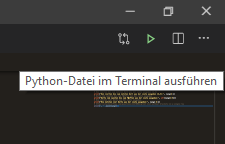 Python-Datei im Terminal ausführen